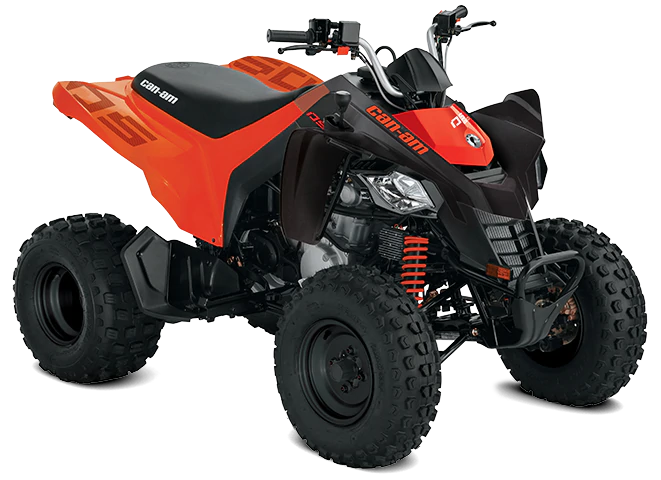 DS STD 250