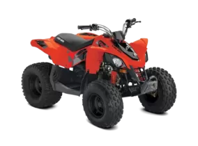 DS STD 90