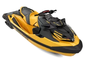 RTX-X